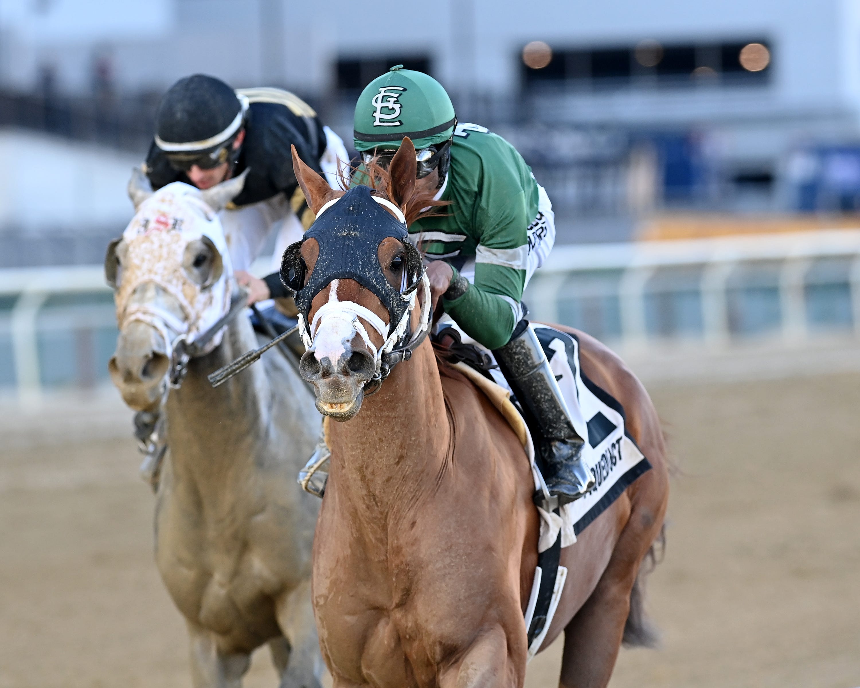 Crupi, Interstatedaydream take down Aqueduct stakes